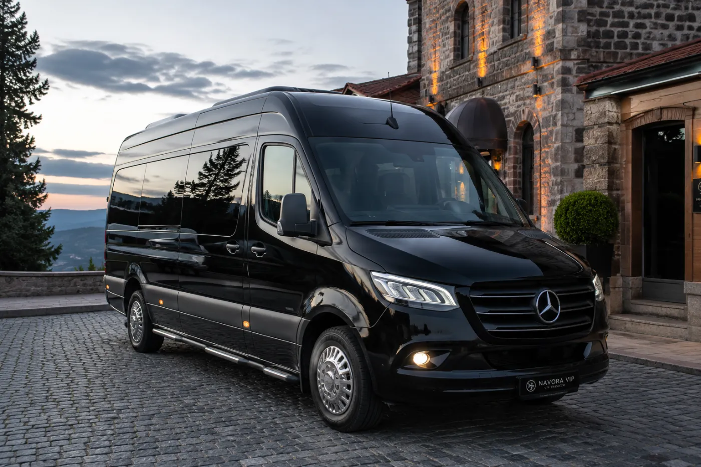 VIP Sprinter